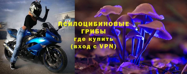 ПСИЛОЦИБИНОВЫЕ ГРИБЫ Гусев